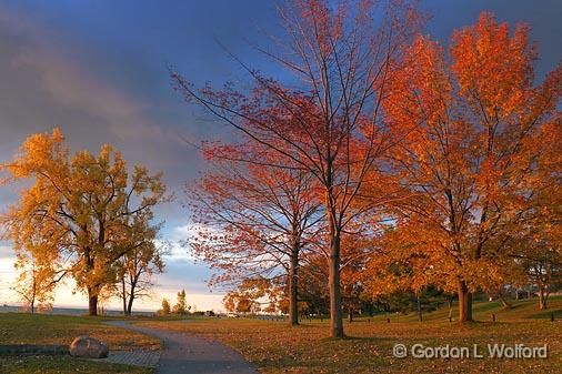 Autumn Trees At Sunrise_09738.jpg - Photographed at Fort Erie, Ontario, Canada.